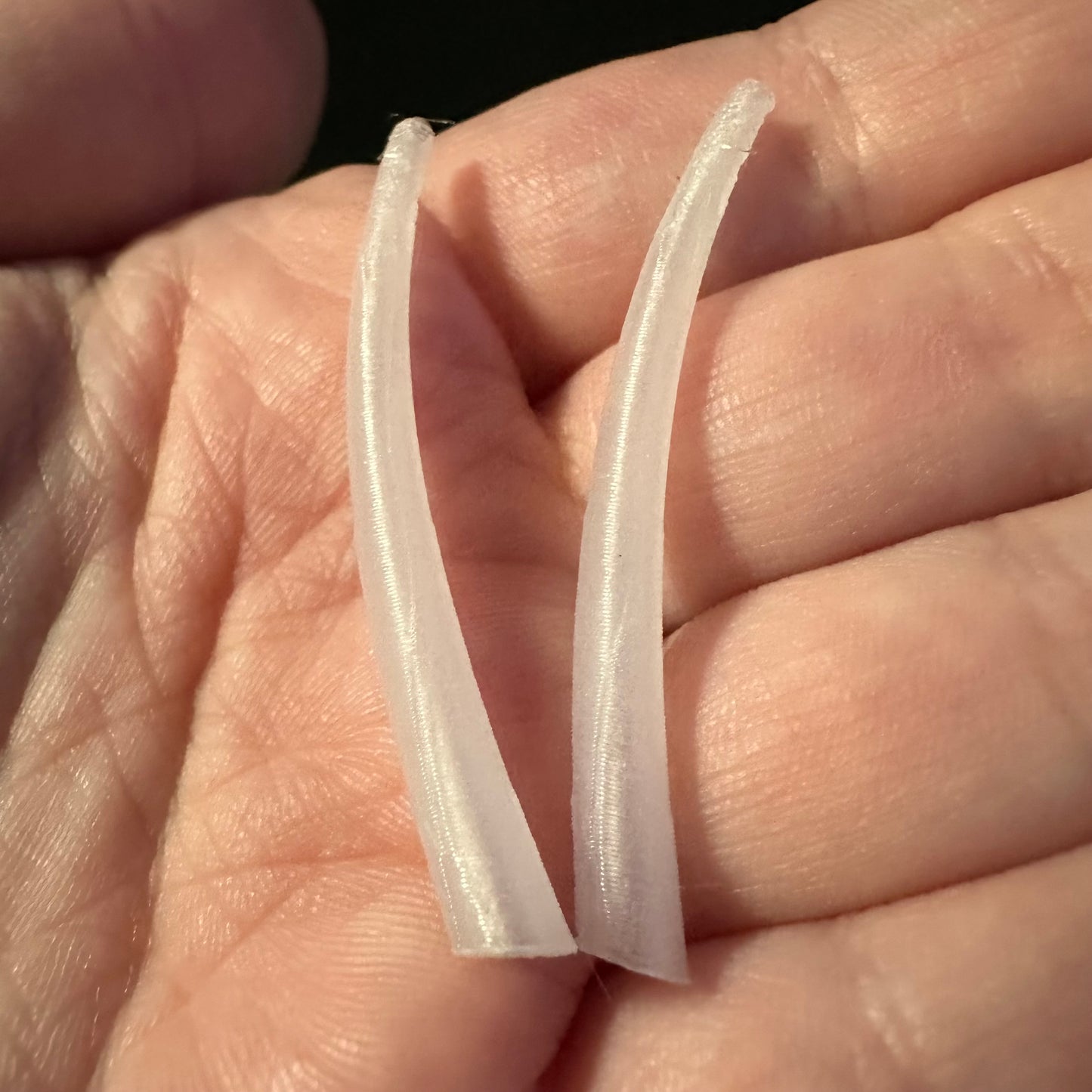 Dentalium inspired 3D printed pieces