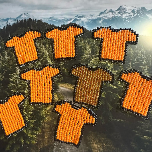 Orange shirt pins/magnetic pins