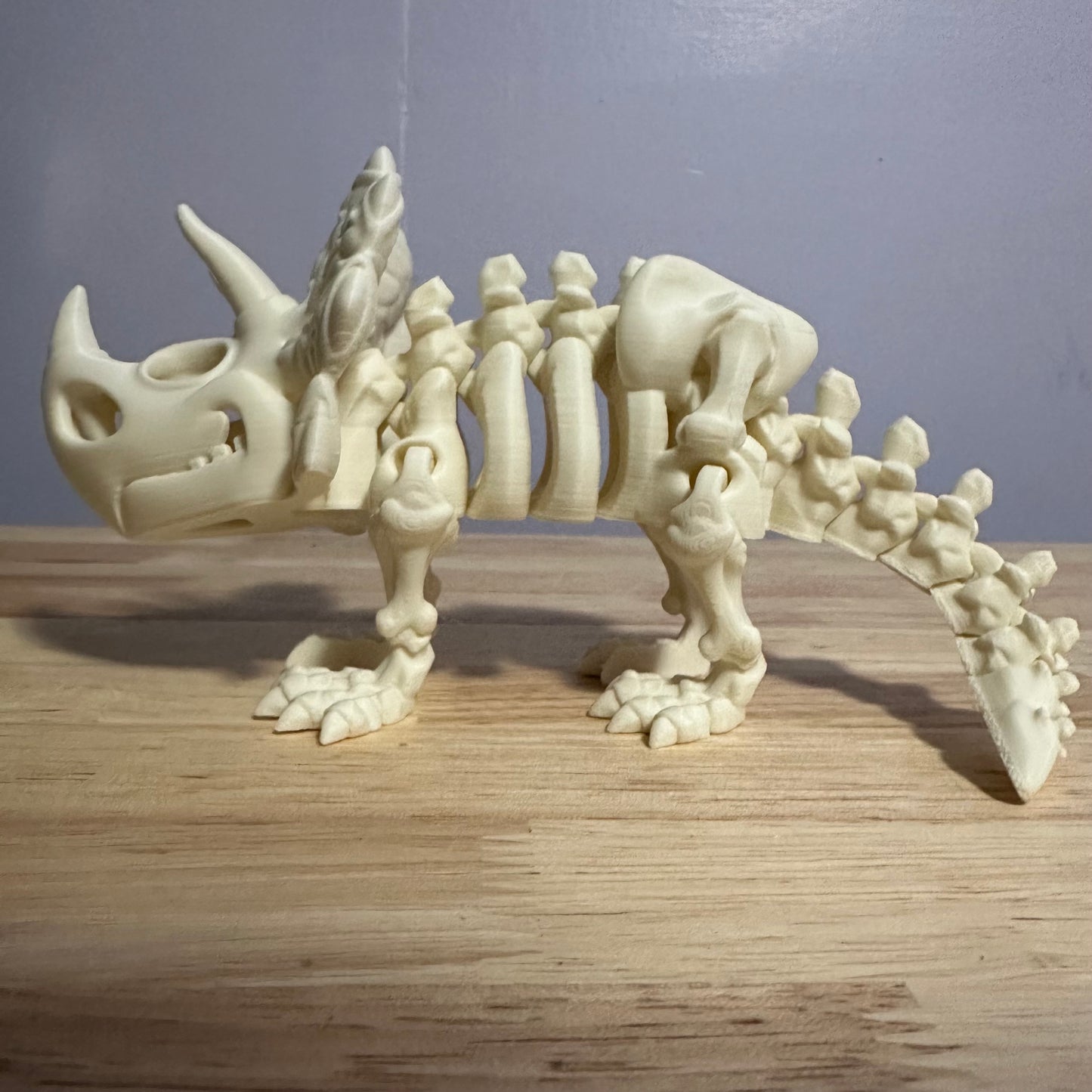 Articulated Skeleton Triceratops