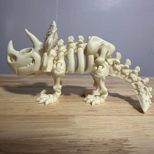 Articulated Skeleton Triceratops