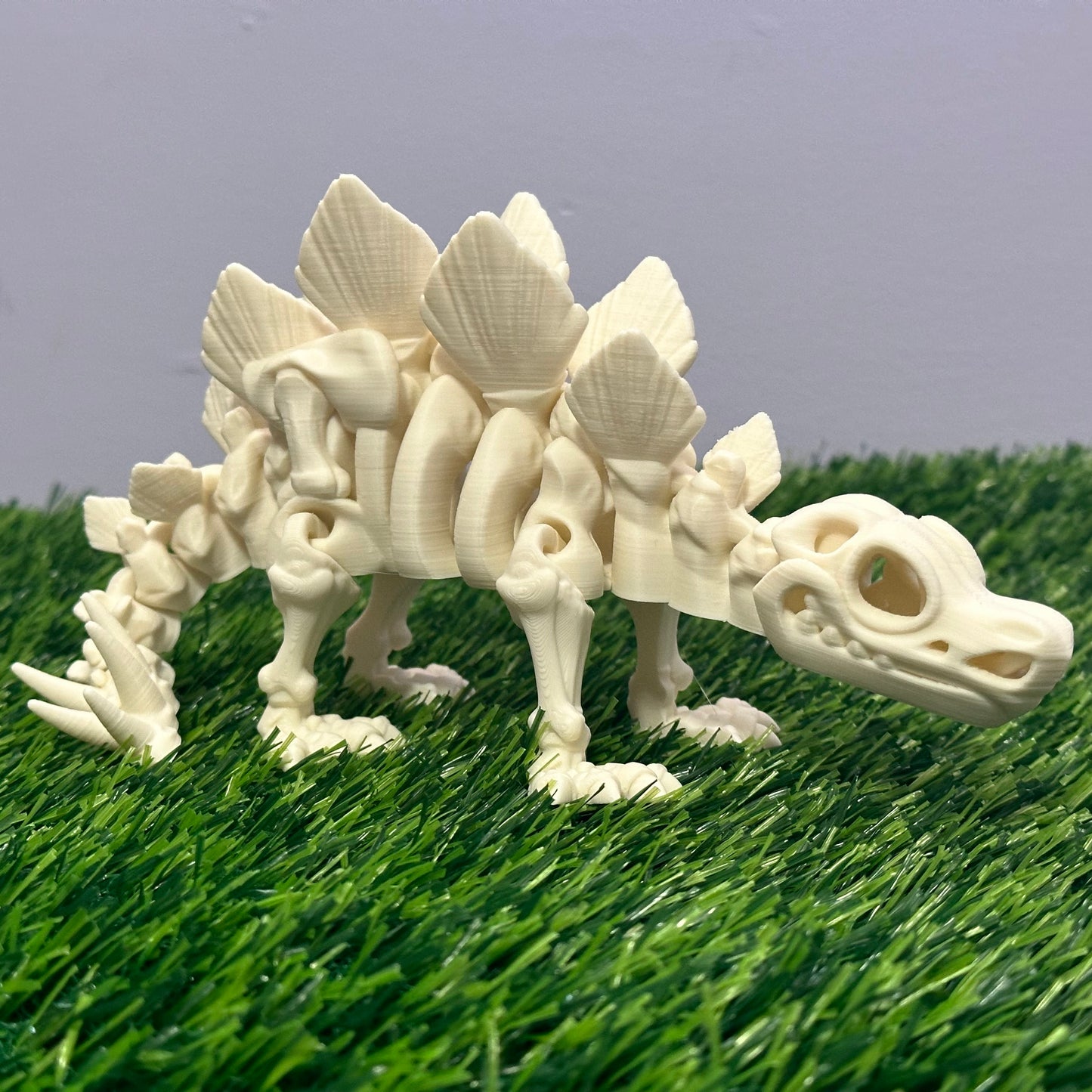 Articulated Skeleton Stegosaurus