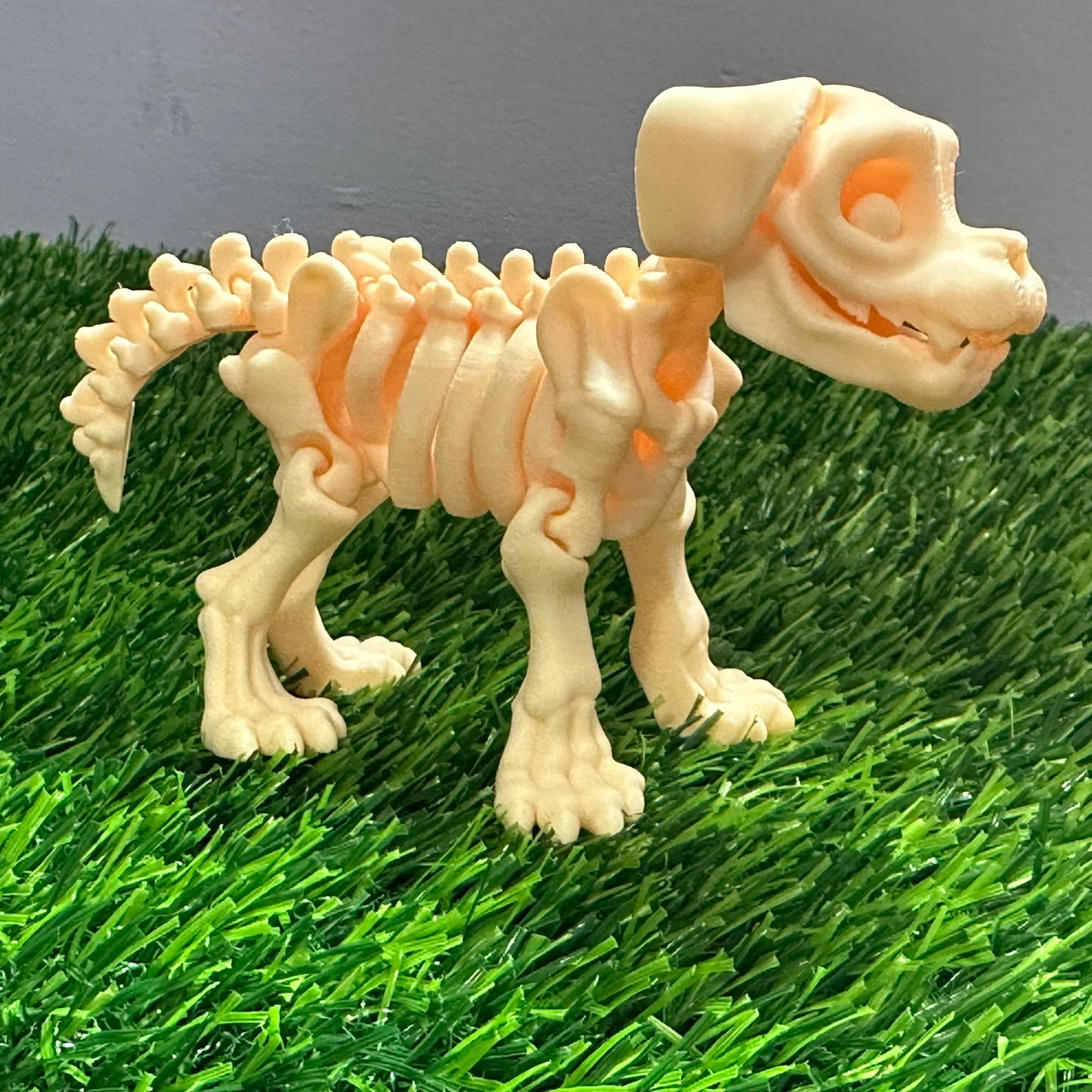 Skeleton Dog
