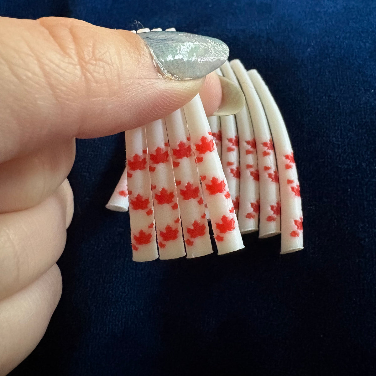 Premium patterned Dentalium inspired 3D printed pieces