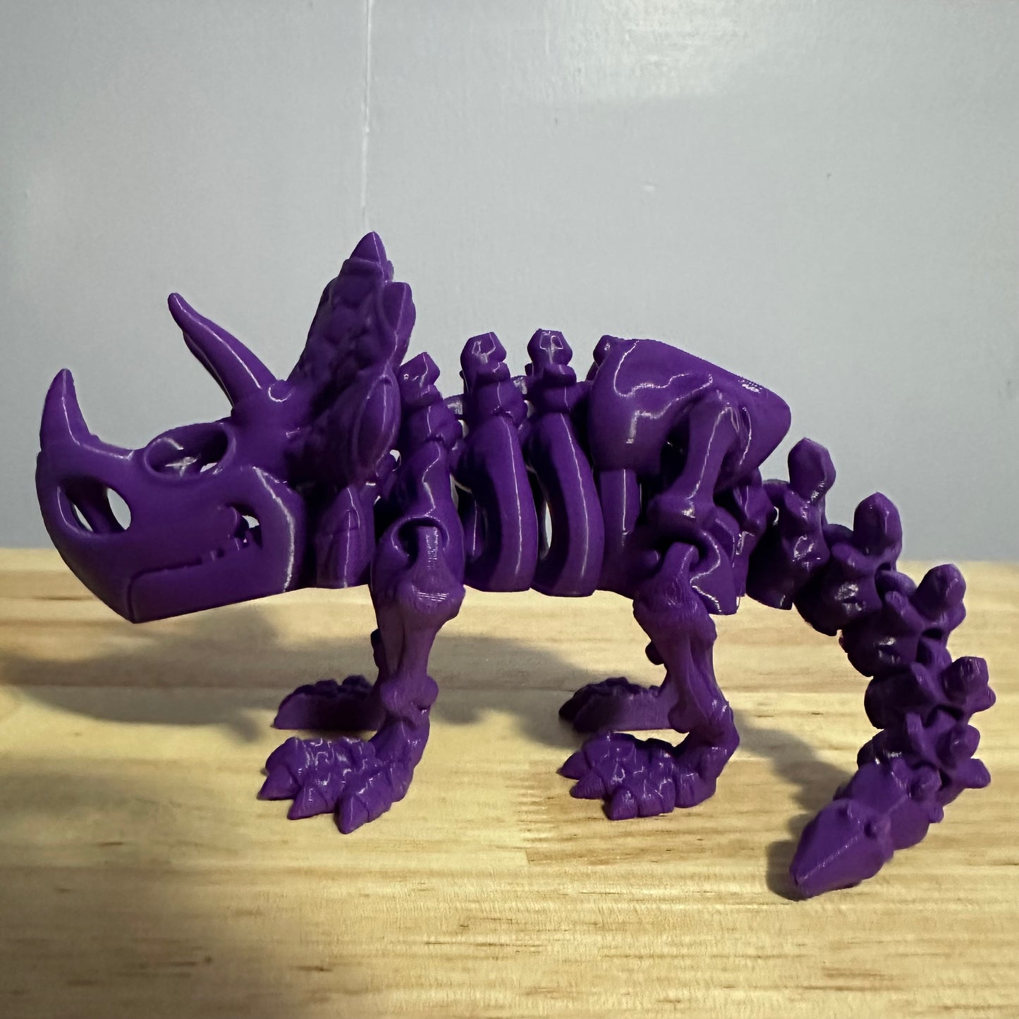 Articulated Skeleton Triceratops