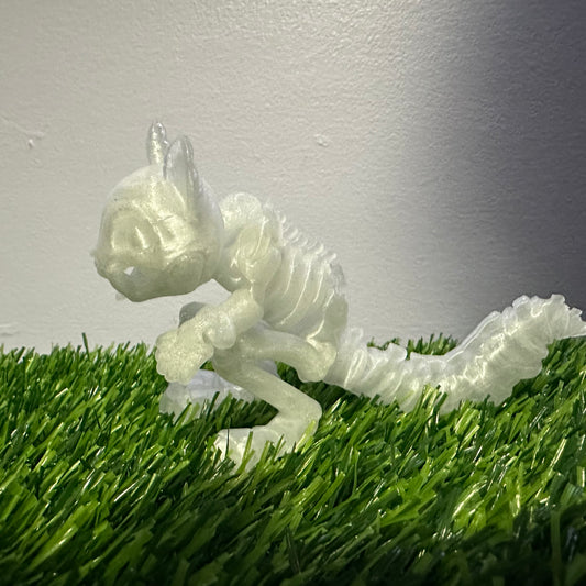 Skeleton Squirrel