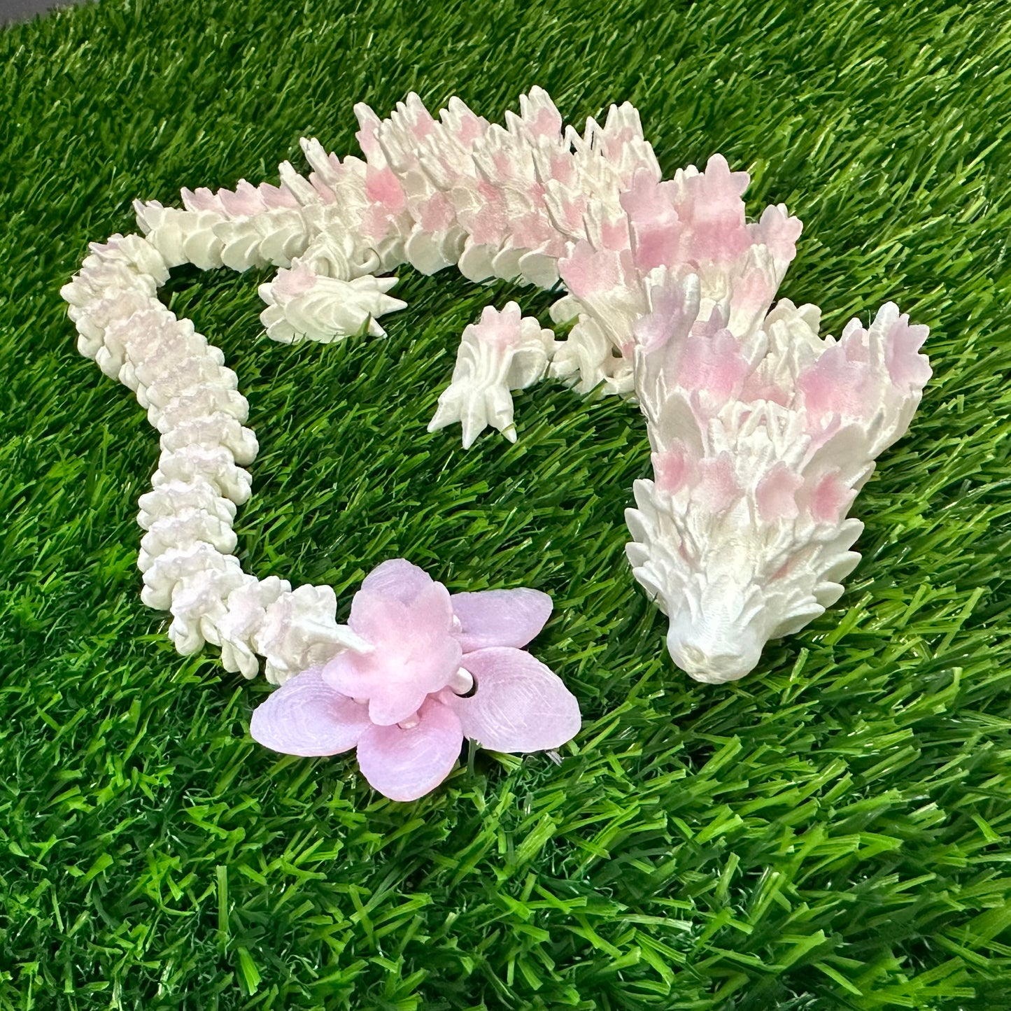 Cherry Blossom Dragon
