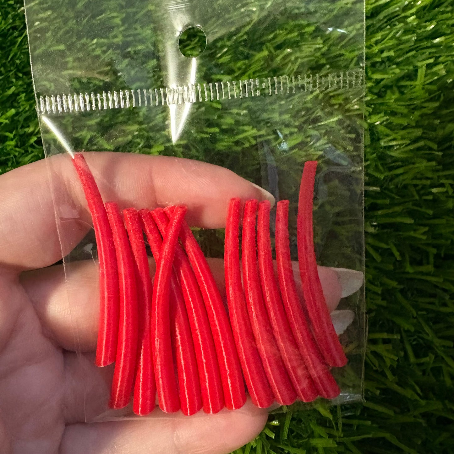 Dentalium inspired 3D printed pieces