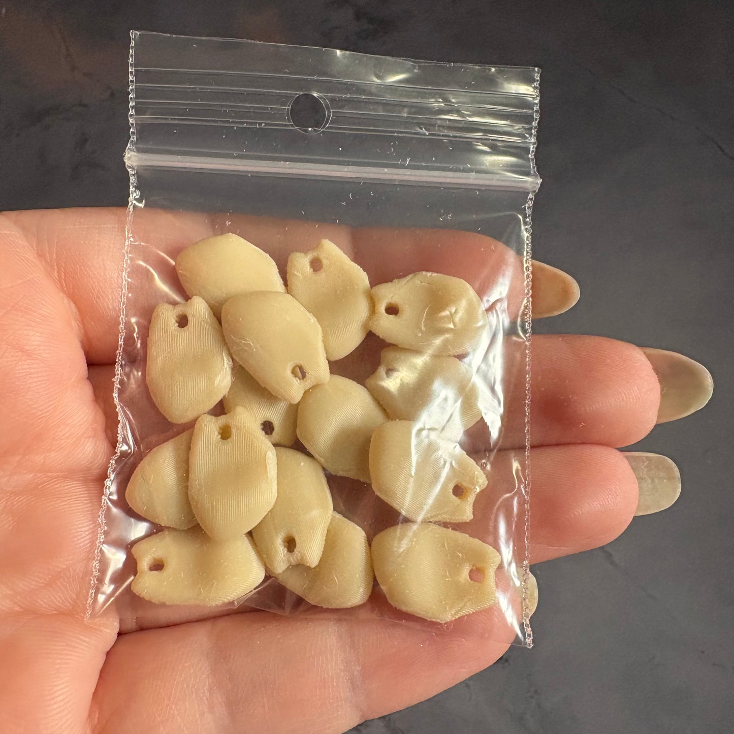 Elk Teeth inspired 3D printed pieces