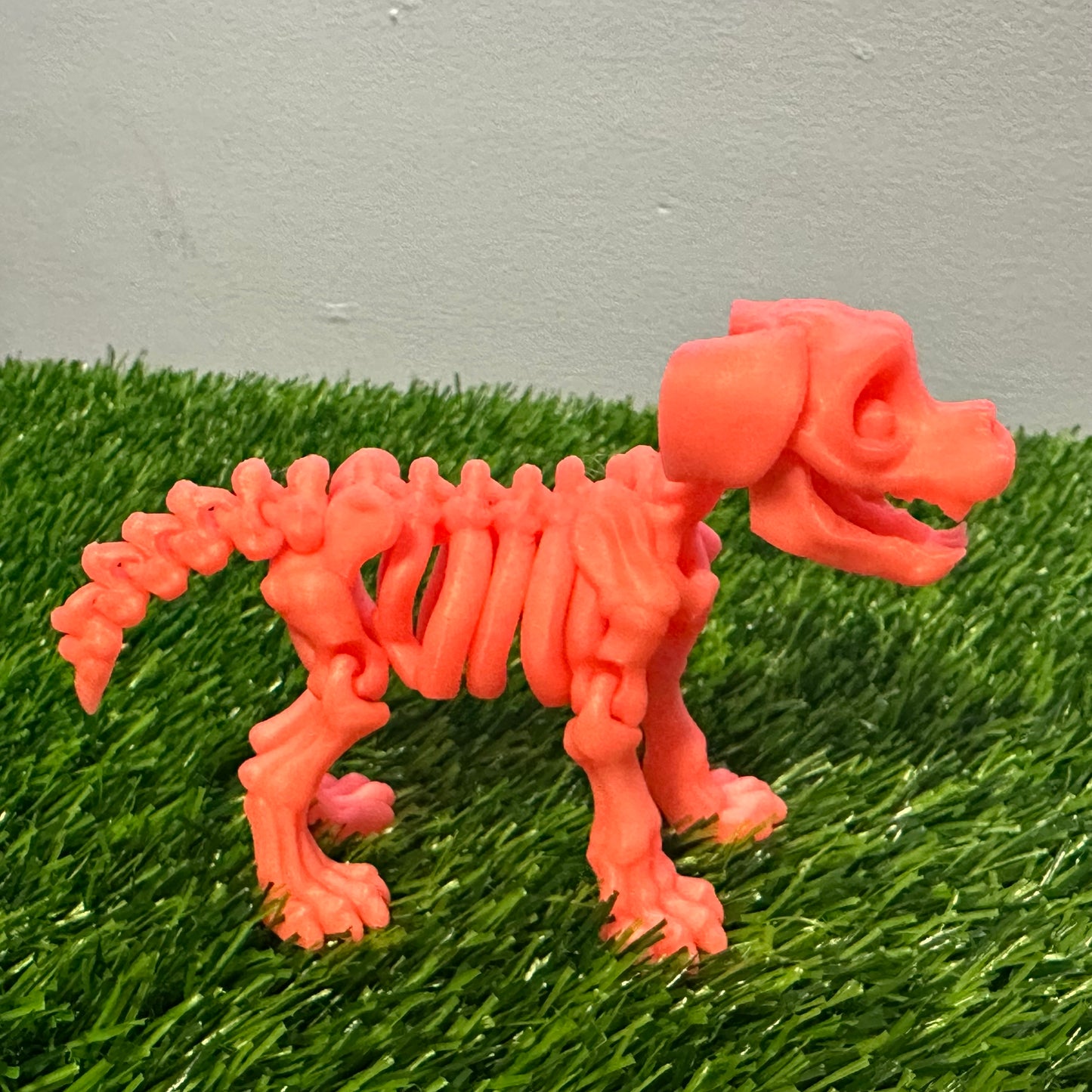 Skeleton Dog
