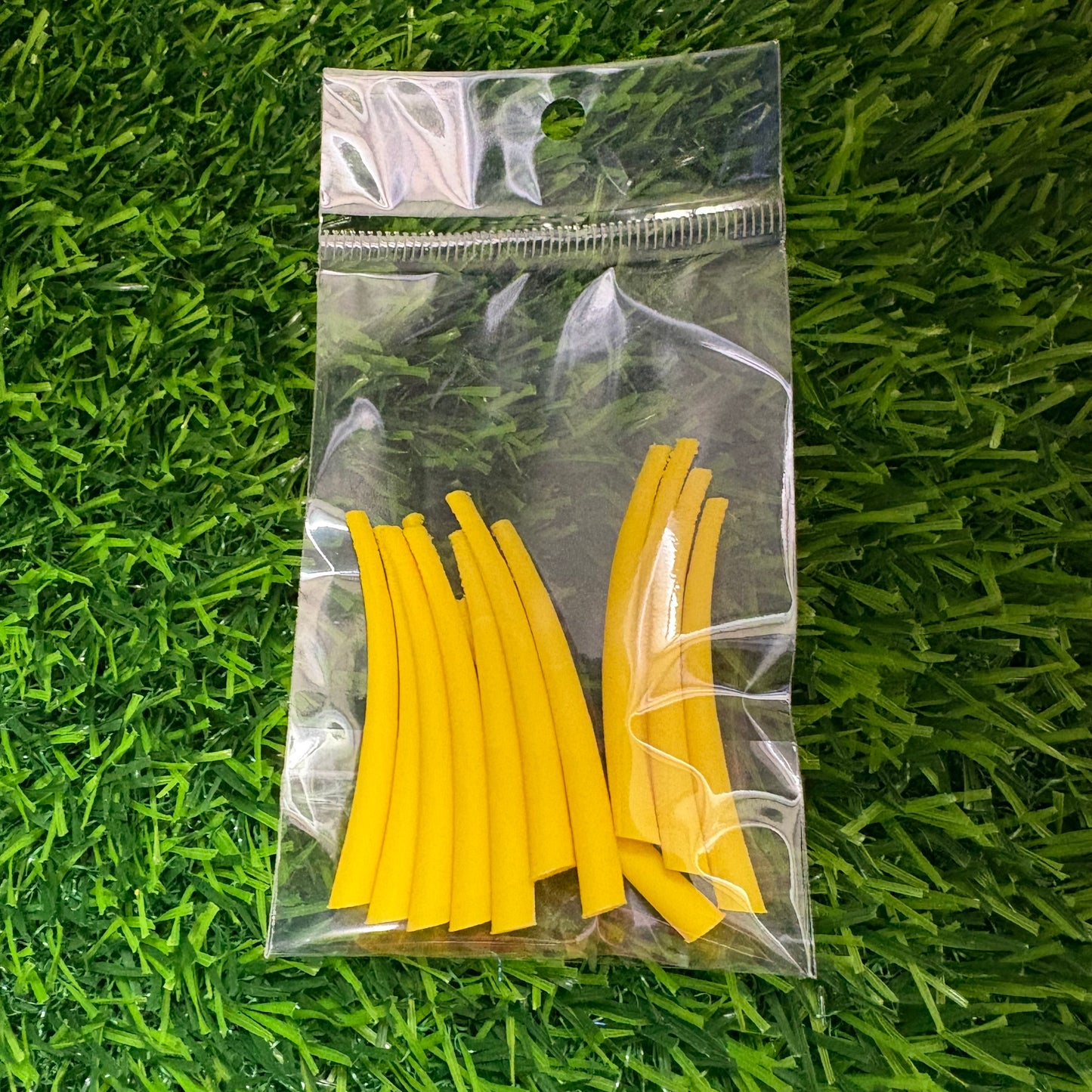 Dentalium inspired 3D printed pieces